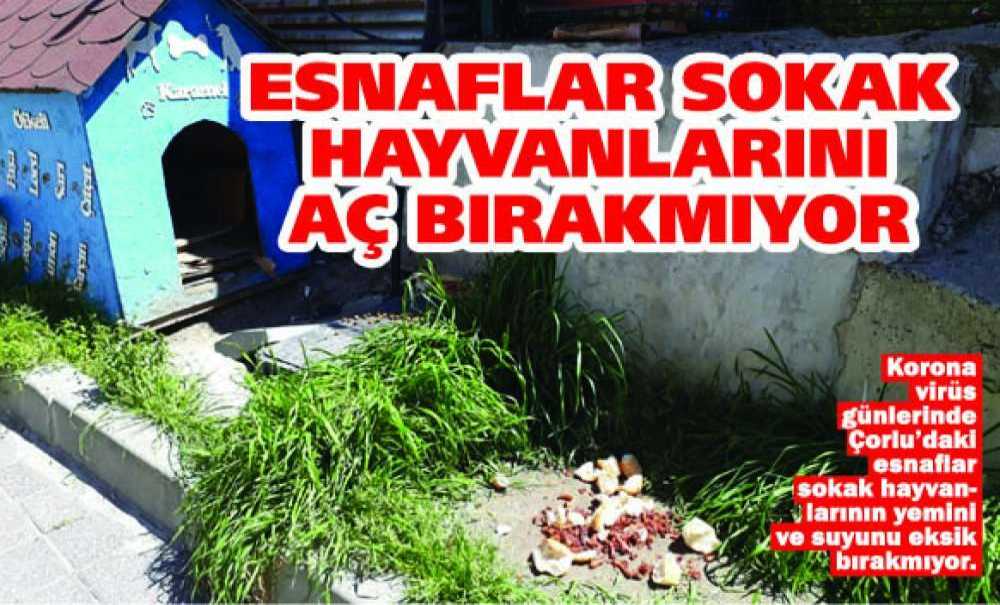 Esnaflar Sokak Hayvanlarını Aç Bırakmıyor