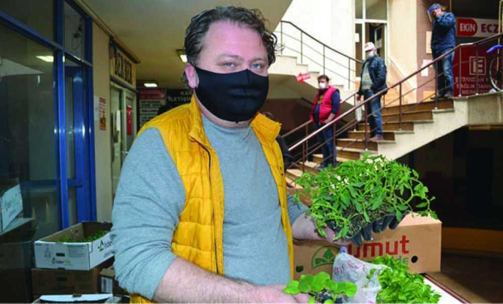 Vatandaşlar Kendi Sebzesini Kendisi Yetiştirmeye Başladı