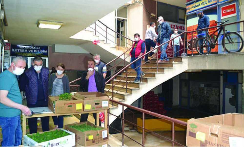 Vatandaşlar Kendi Sebzesini Kendisi Yetiştirmeye Başladı