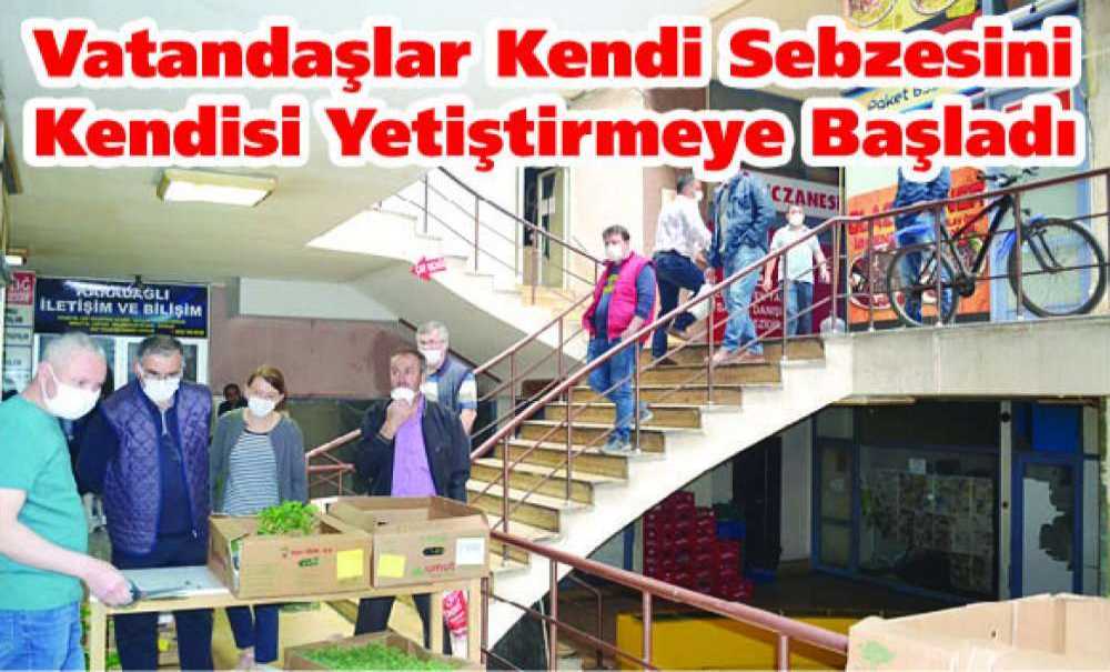 Vatandaşlar Kendi Sebzesini Kendisi Yetiştirmeye Başladı