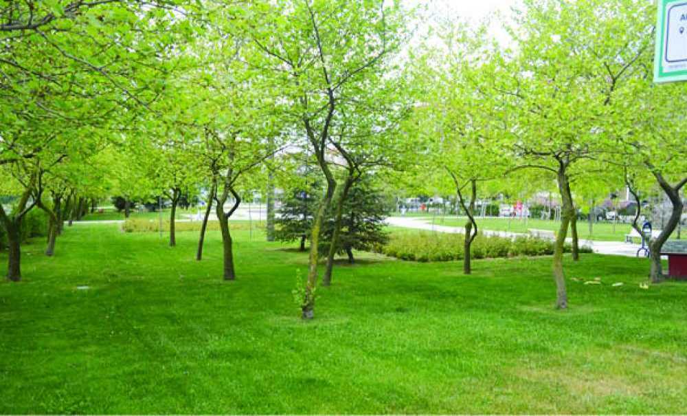 Vatandaşlar Dışarı Çıkmayınca Parklar Temiz Kaldı