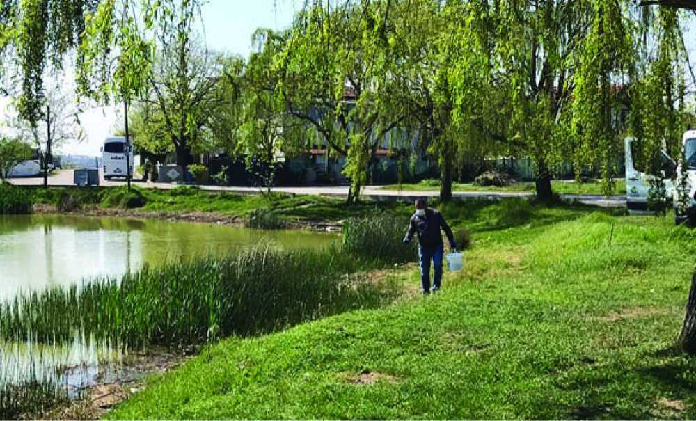 Ergene Belediyesi Sivrisinek Larvalarına Karşı İlaçlama Yaptı