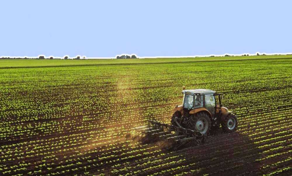 Aralıksız Yağan Yağmurlar Çiftçiler İçin Bereket Oldu