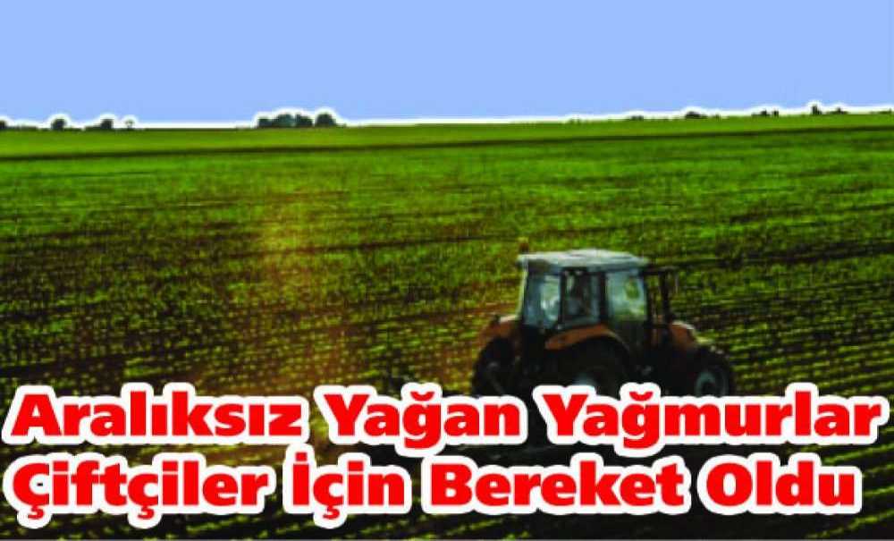 Aralıksız Yağan Yağmurlar Çiftçiler İçin Bereket Oldu