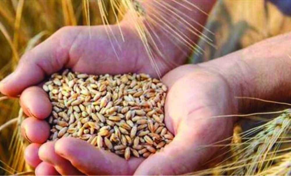 Çiftçiler Buğdaya Verilen Fiyattan Memnun