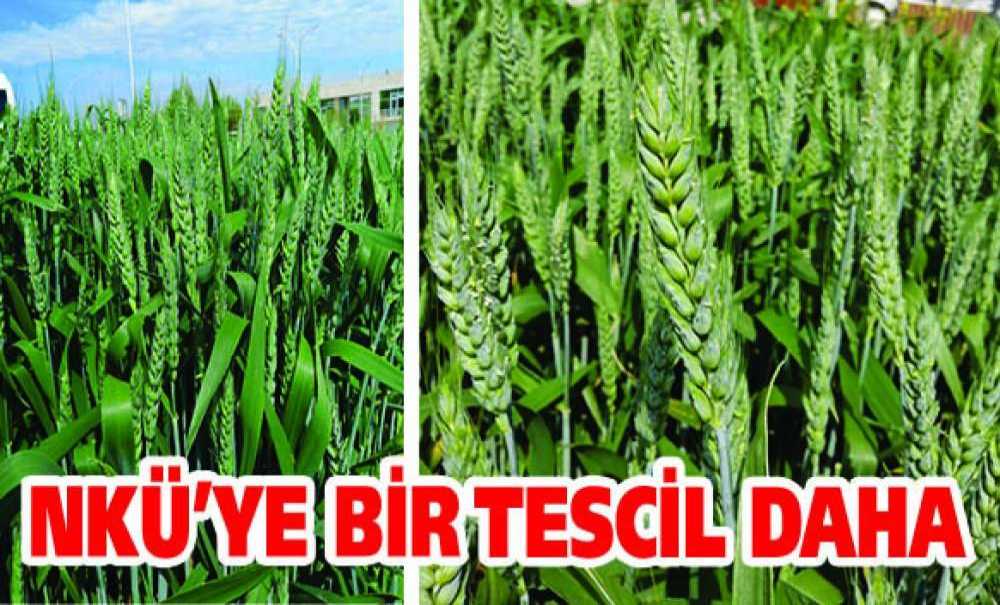 Nkü'ye Bir Tescil Daha