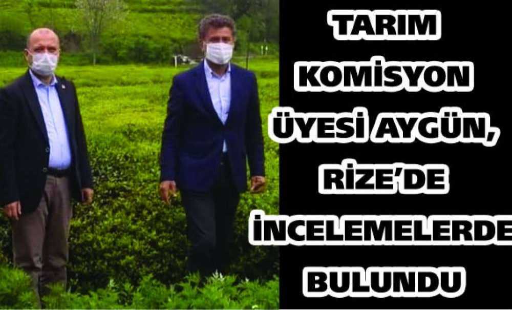 Tarım Komisyon Üyesi Aygün, Rize'de İncelemelerde Bulundu
