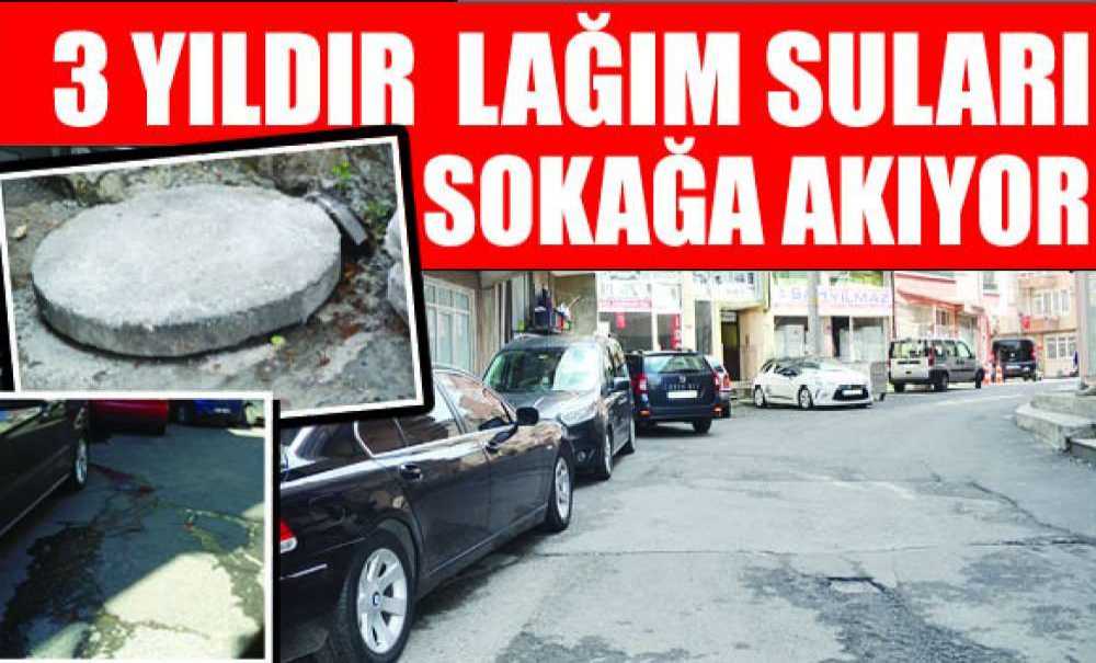 3 Yıldır Lağım Suları Sokağa Akıyor