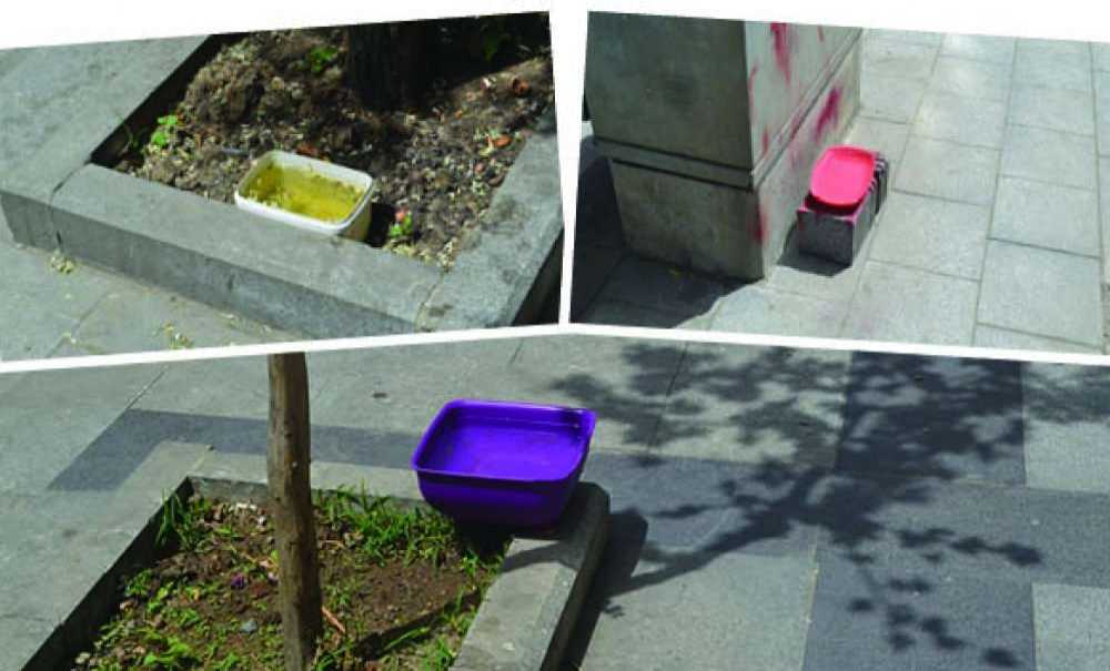 Esnaflar Sokak Hayvanlarını Susuz Bırakmıyor