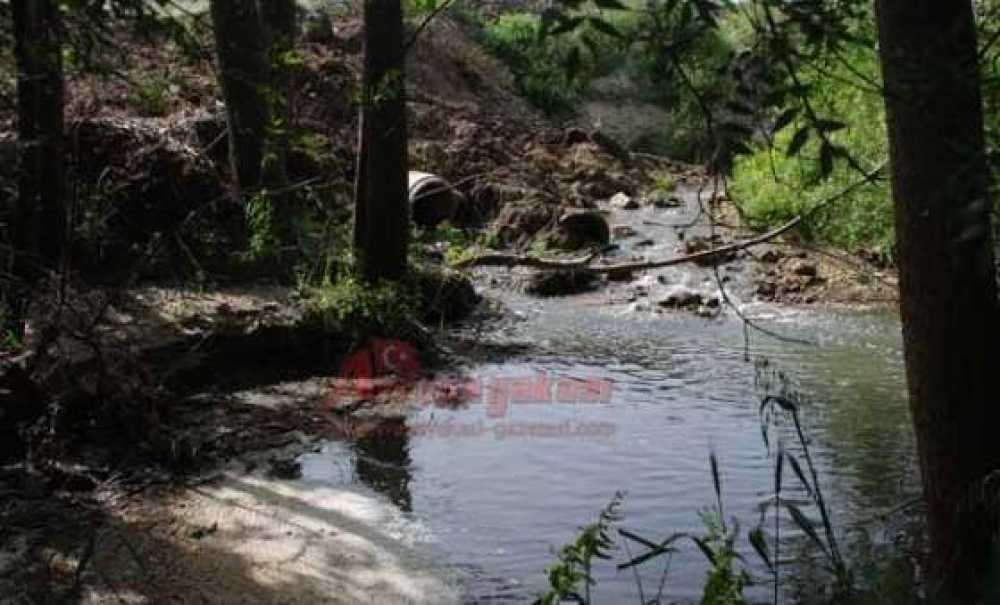 Paşaköy – Pınarbaşı Deresine Boşaltılan Atıklara Dikkati Çeken Prof. Dr. Tamer Dodurka;