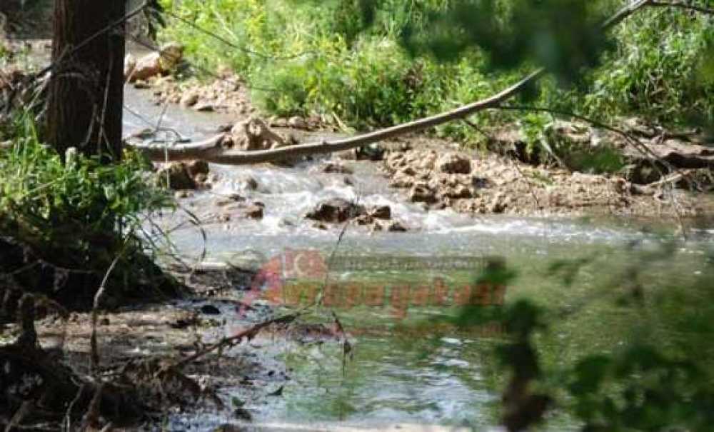 Paşaköy – Pınarbaşı Deresine Boşaltılan Atıklara Dikkati Çeken Prof. Dr. Tamer Dodurka;