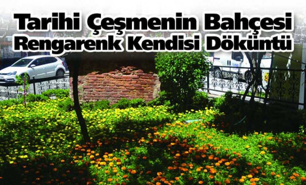 Tarihi Çeşmenin Bahçesi Rengarenk Kendisi Döküntü