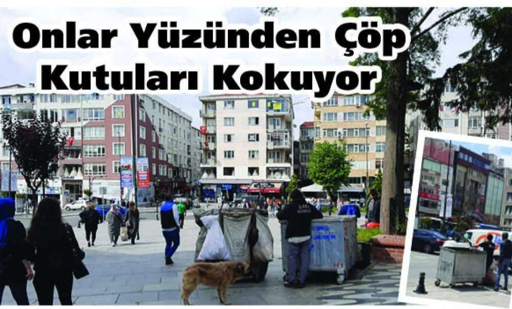 Onlar Yüzünden Çöp Kutuları Kokuyor