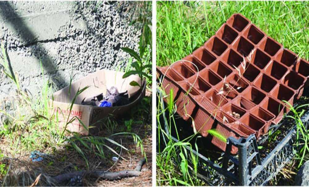 Mezarlığın Bakımsızlığı Dikkat Çekti