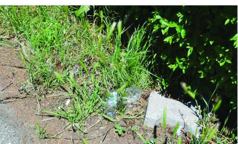 Çorlu'da Uyuşturucu Kol Geziyor