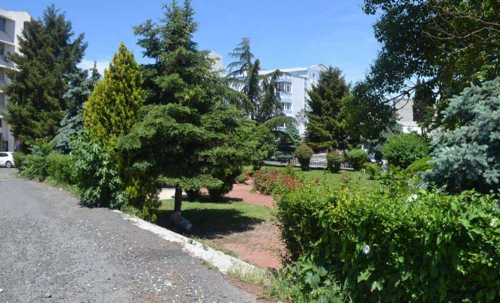 Gençler Zehirleniyor, Yetkililer İzliyor