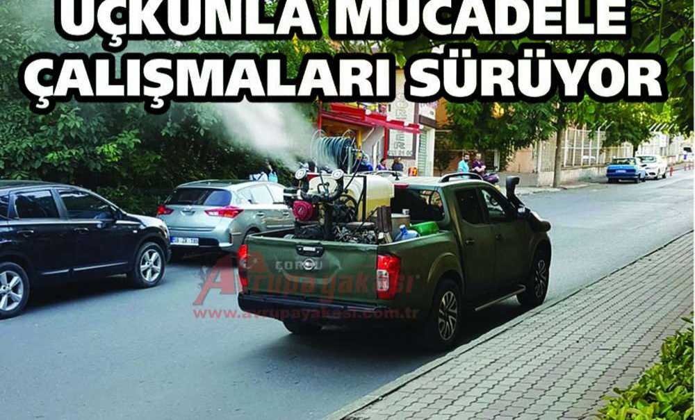 Uçkunla Mücadele Çalışmaları Sürüyor