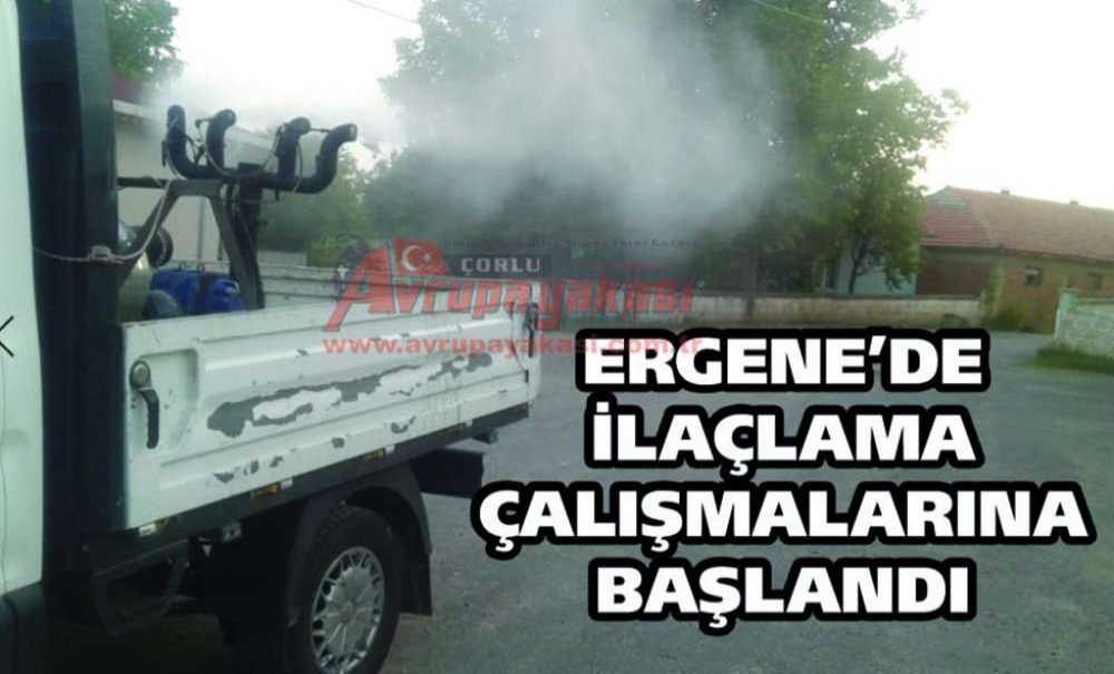 Ergene'de İlaçlama Çalışmalarına Başlandı