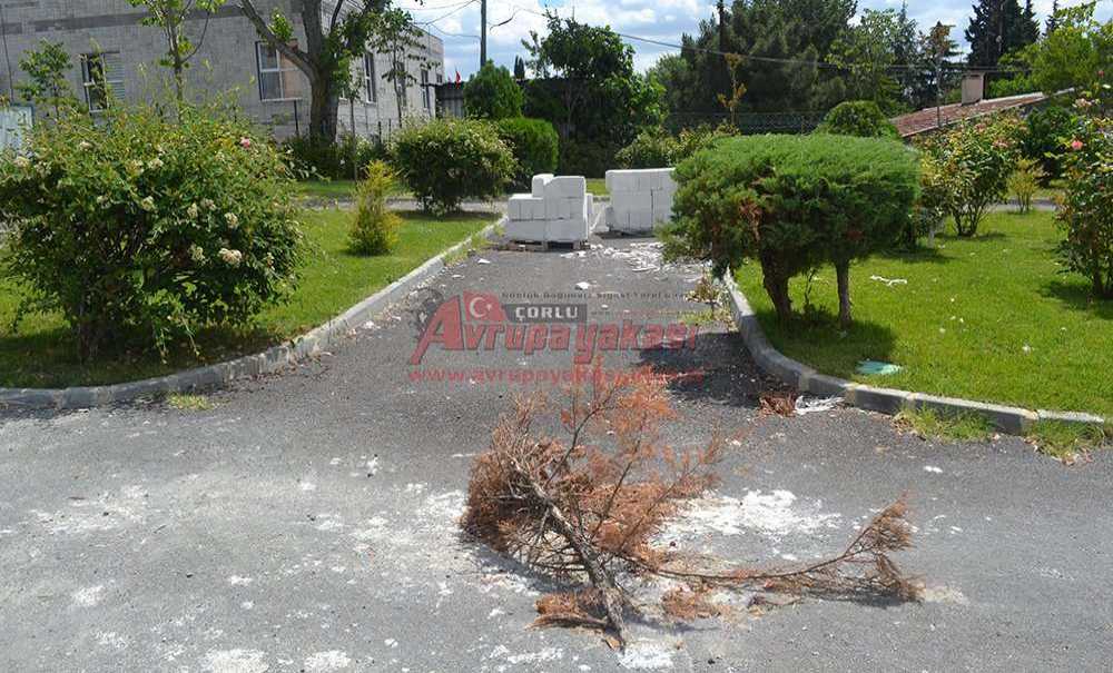 Temeli 8 Ay Önce Atılmıştı