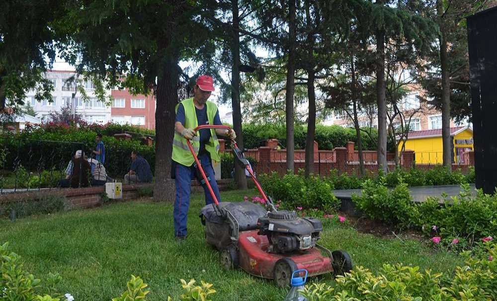 Burası Pendik Belediyesi Mi?