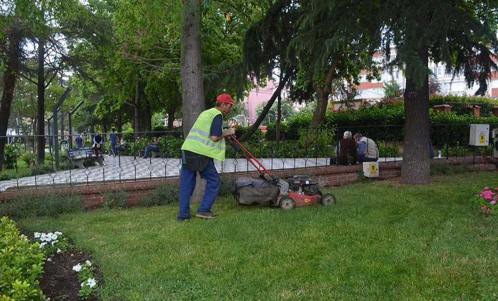 Burası Pendik Belediyesi Mi?