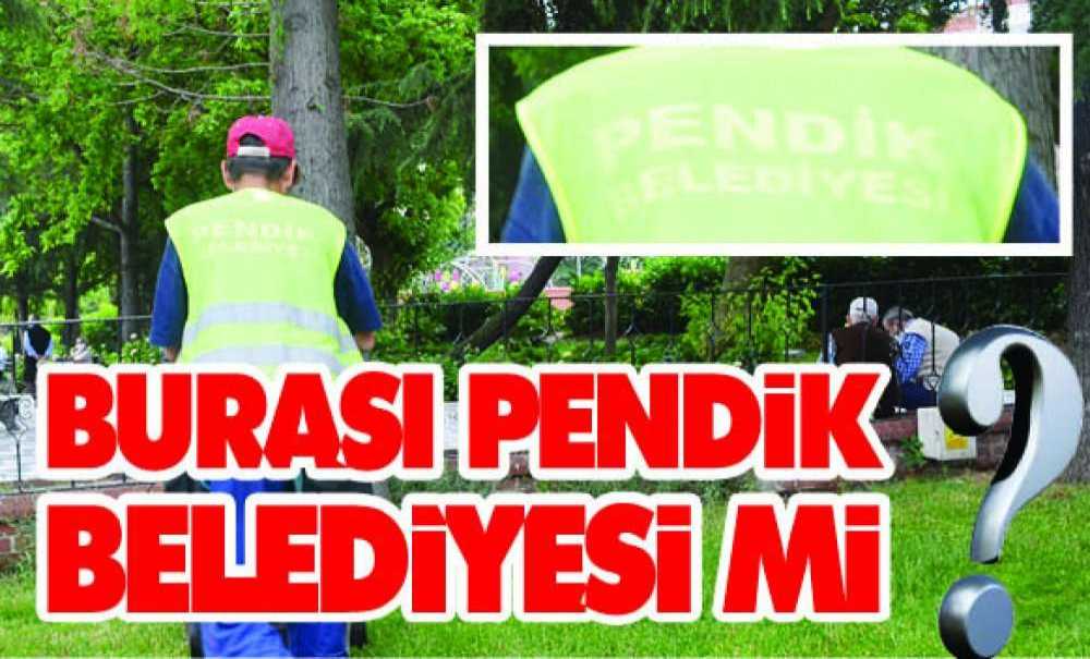 Burası Pendik Belediyesi Mi?