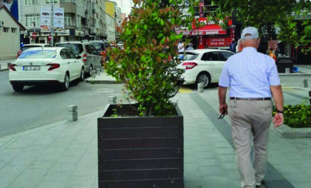 Saksıları Çöp Kutusu Zannedenler Var