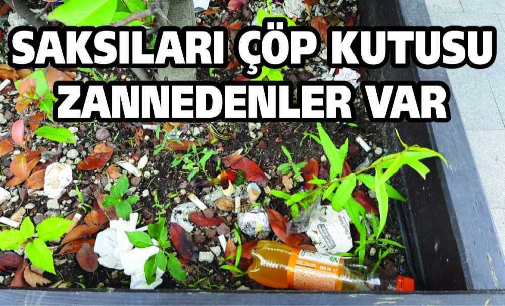 Saksıları Çöp Kutusu Zannedenler Var