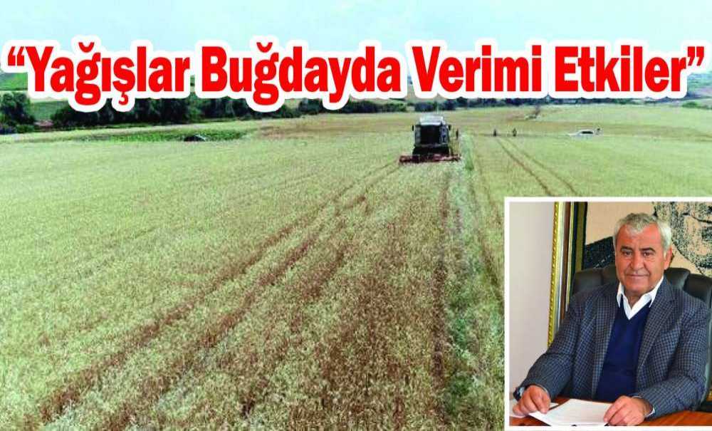 “Yağışlar Buğdayda Verimi Etkiler”