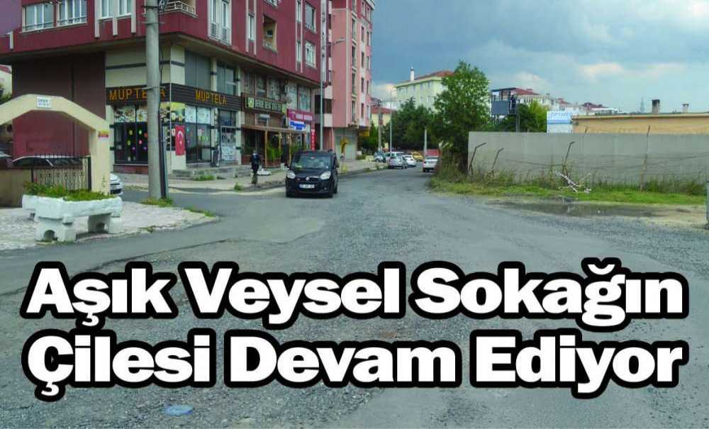 Aşık Veysel Sokağın Çilesi Devam Ediyor