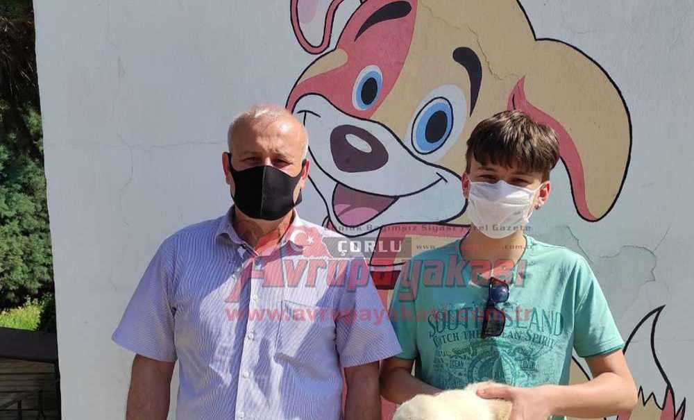 Sevimli Yavrular Yeni Ailelerine Kavuştu