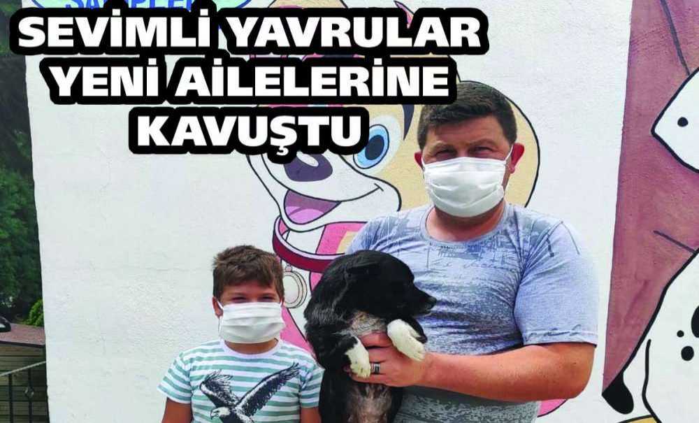Sevimli Yavrular Yeni Ailelerine Kavuştu
