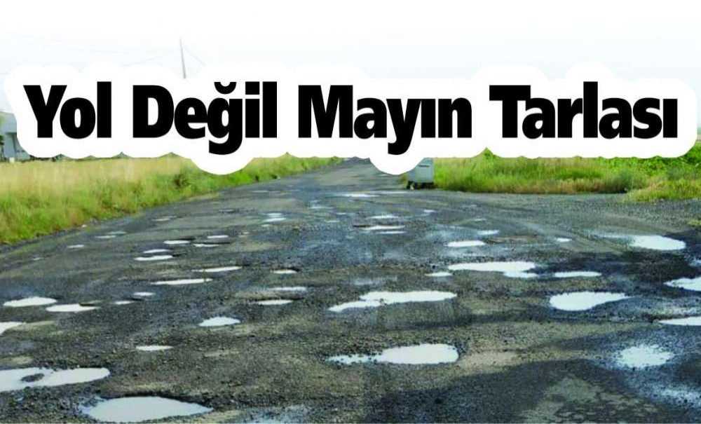 Yol Değil Mayın Tarlası