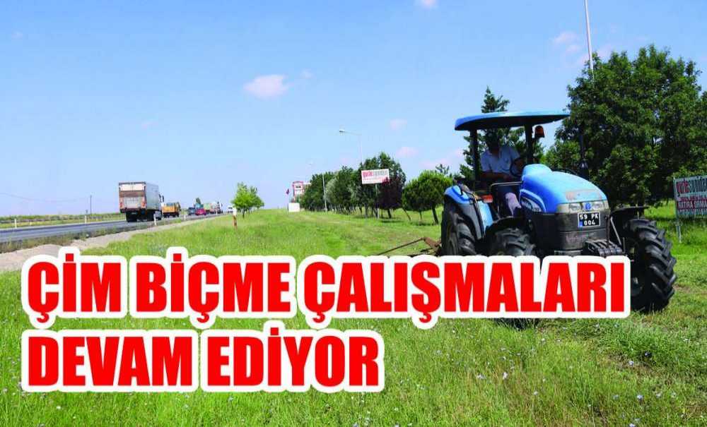 Çim Biçme Çalışmaları Devam Ediyor