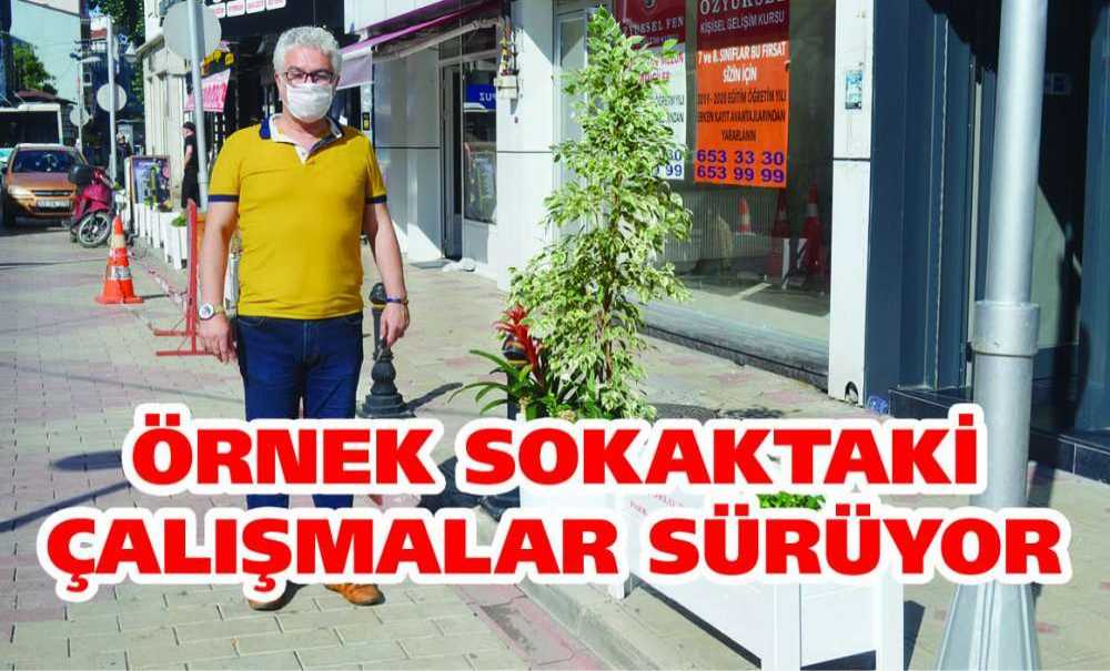 Örnek Sakaktaki Çalışmalar Sürüyor