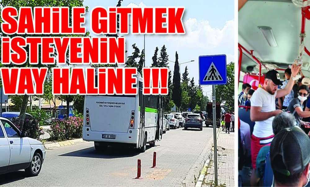 Sahile Gitmek İsteyenin Vay Haline!!!