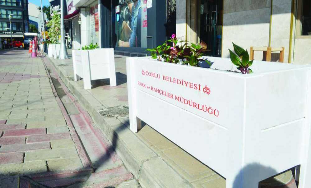 Hırsızlıkta Doruk Noktası, Çiçekleri Çalmaya Başladılar