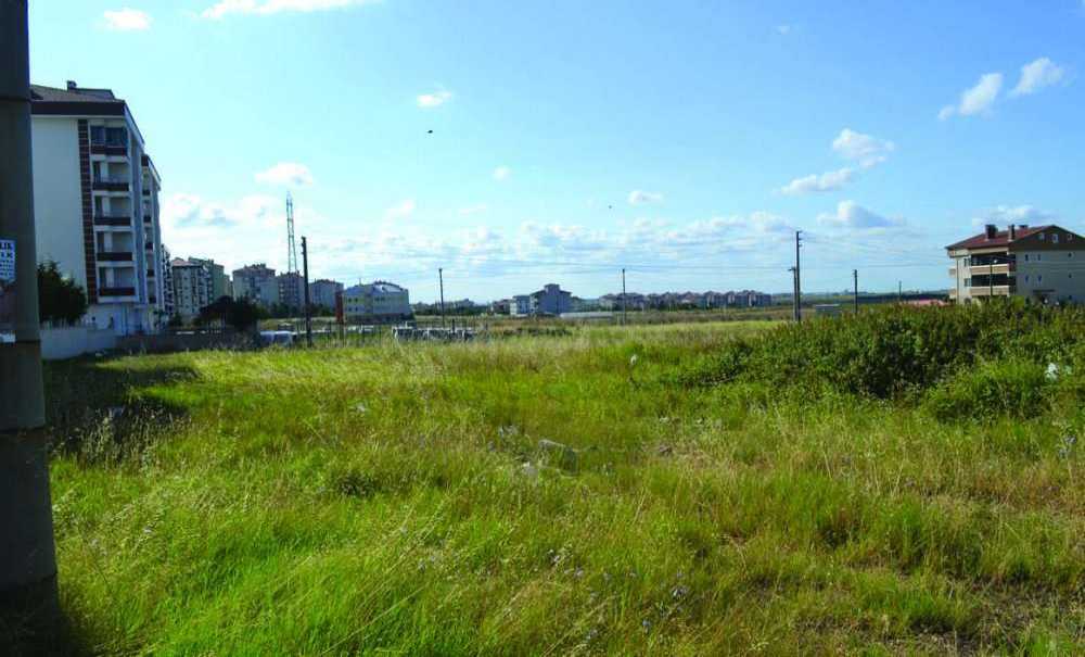 Büyüyen Otlar Korku Salıyor