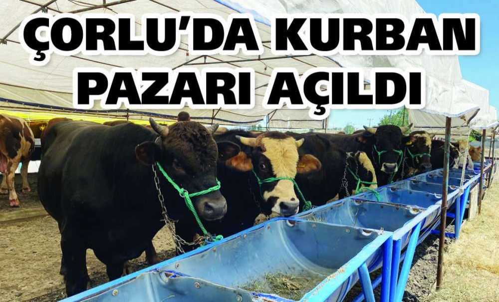 Çorlu'da Kurban Pazarı Açıldı