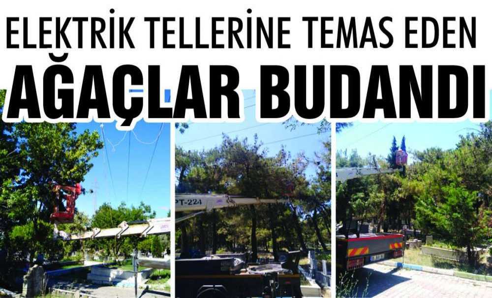 Elektrik Tellerine Temas Eden Ağaçlar Budandı