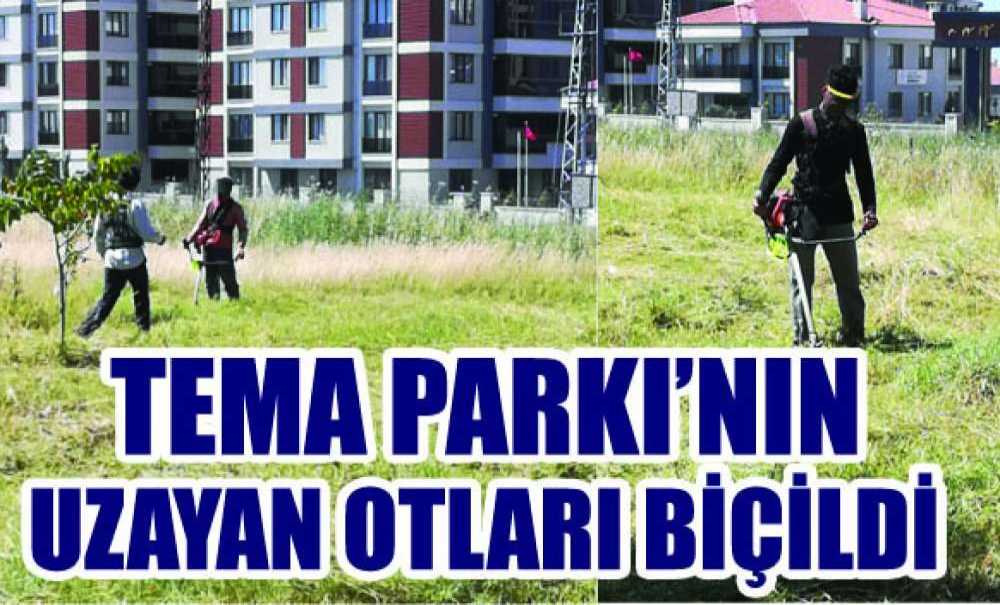 Tema Parkı'nın Uzayan Otları Biçildi