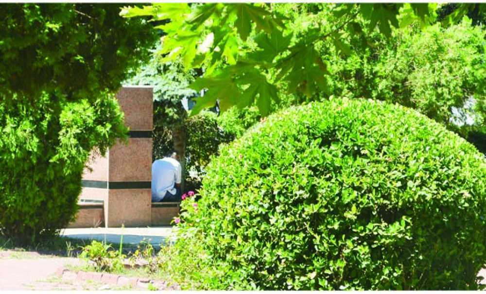 Uyuşturucu Kullanıcıları Parkta Sızıp Kalıyor