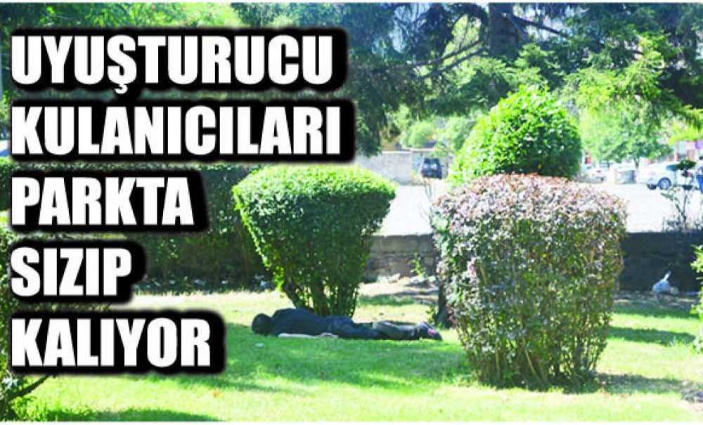 Uyuşturucu Kullanıcıları Parkta Sızıp Kalıyor