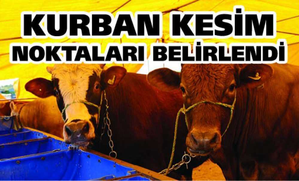 Kurban Kesim Noktaları Belirlendi