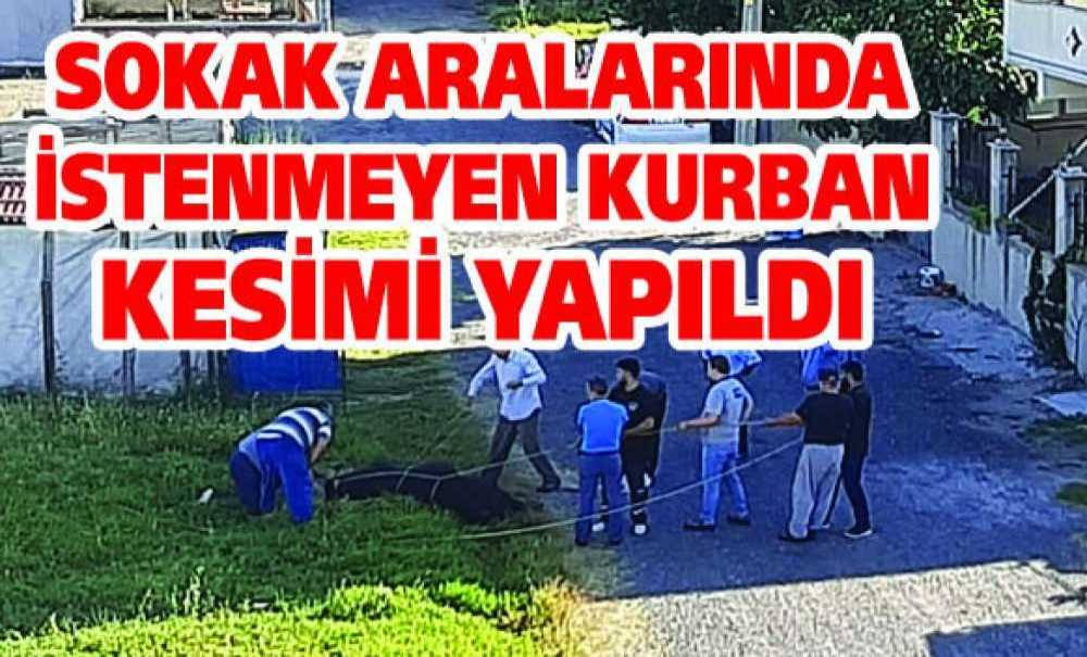 Sokak Aralarında İstenmeyen Kurban Kesimi Yapıldı