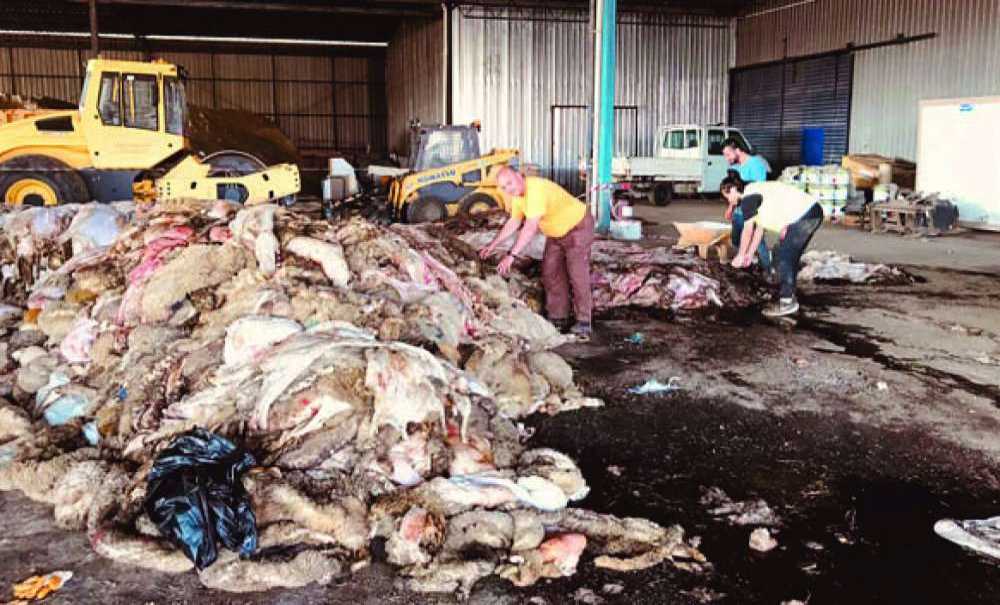 Türk Hava Kurumu Kurban Derilerini Topladı