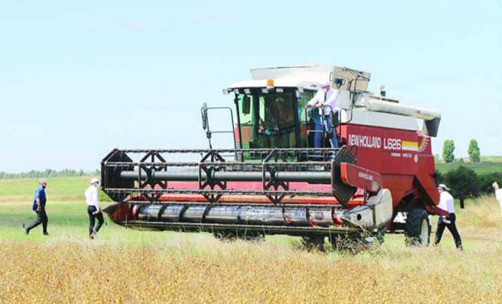 İlk Nohut Hasadı Gerçekti