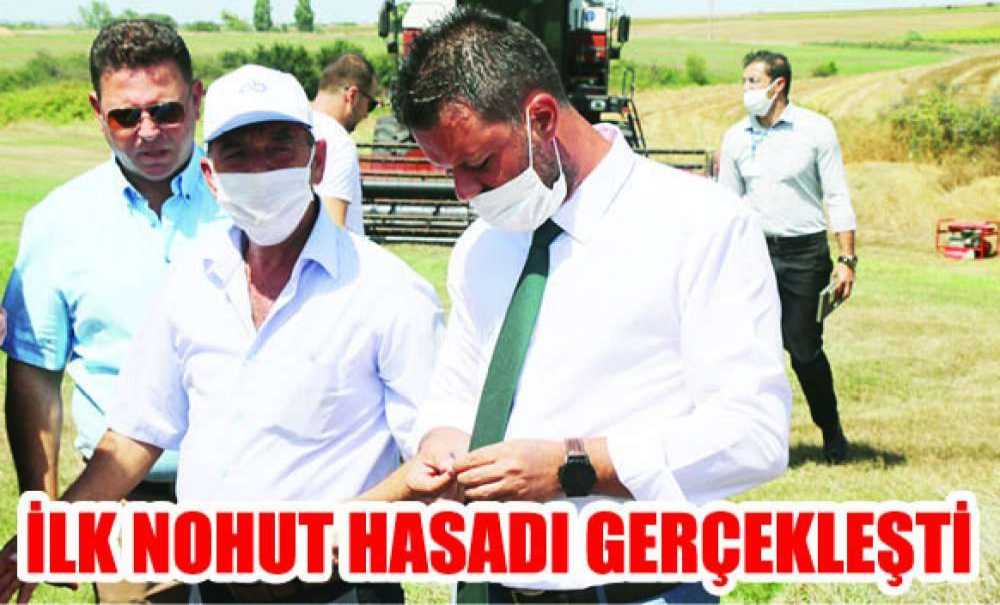İlk Nohut Hasadı Gerçekti