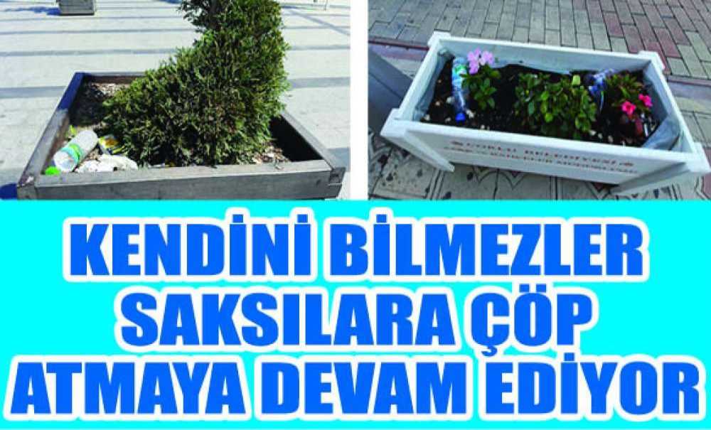 Kendini Bilmezler Saksılara Çöp Atmaya Devam Ediyor