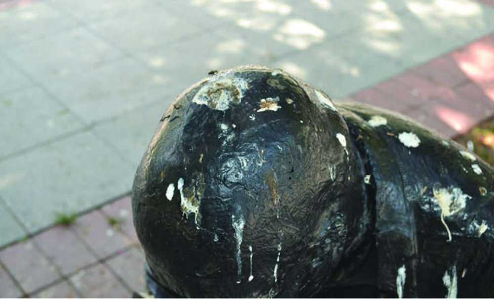 Fıskiye Var Çalışmıyor, Bank Var Oturulmuyor!